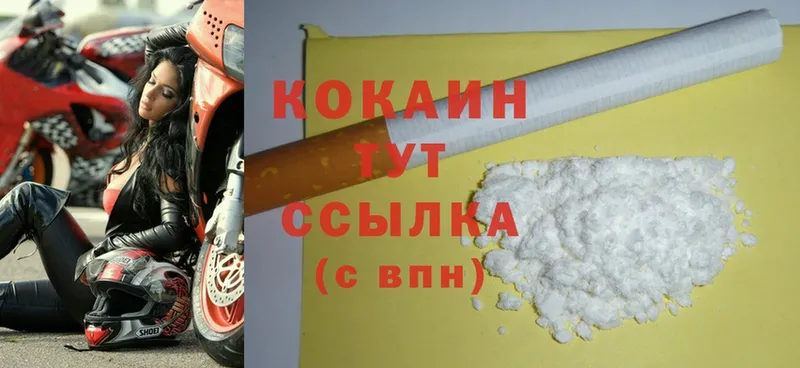 дарк нет Telegram  Шагонар  Cocaine FishScale 