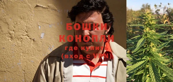 шишки Ладушкин