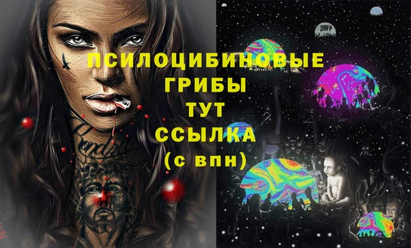 спайс Лабытнанги