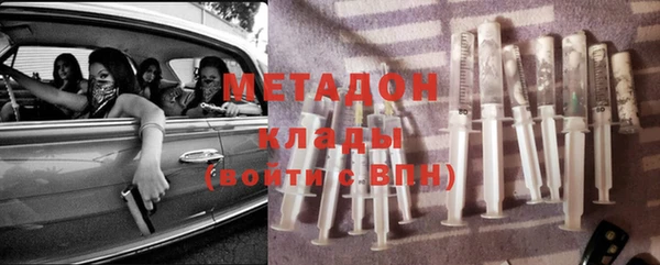 шишки Ладушкин
