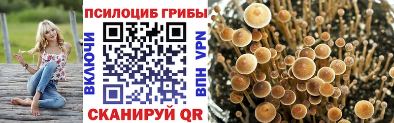 Галлюциногенные грибы мухоморы  Шагонар 