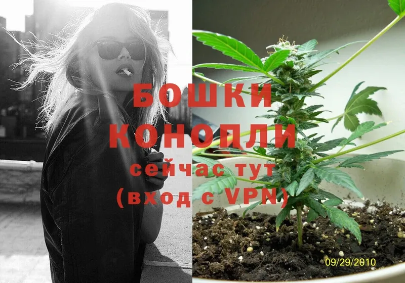 где продают наркотики  это Telegram  МАРИХУАНА OG Kush  Шагонар 