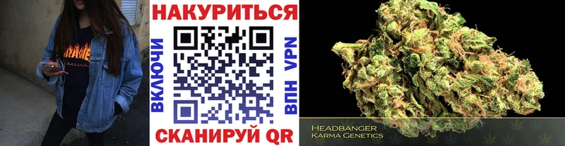 Конопля SATIVA & INDICA  кракен сайт  Шагонар 